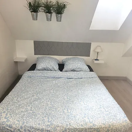 Le Royal Place Victor Hugo Apartment