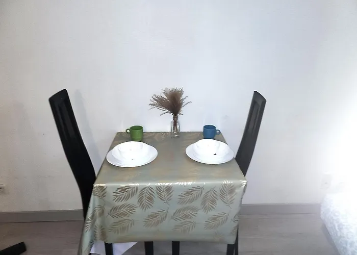 Apartment Le Royal Place Victor Hugo *