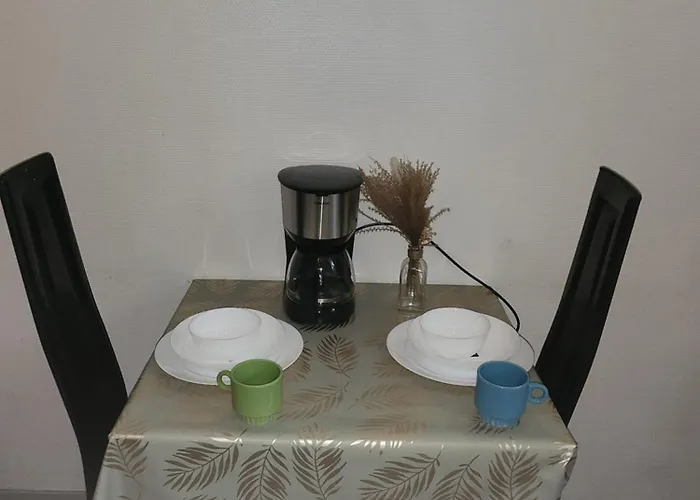 דירה Le Royal Place Victor Hugo גרנובל