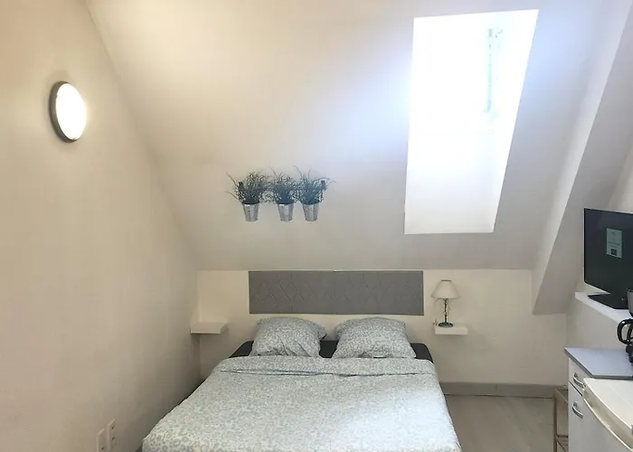 Le Royal Place Victor Hugo דירה *